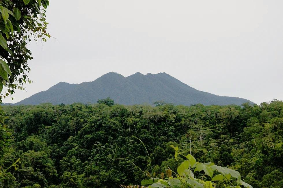 Rural Bougainville Economic