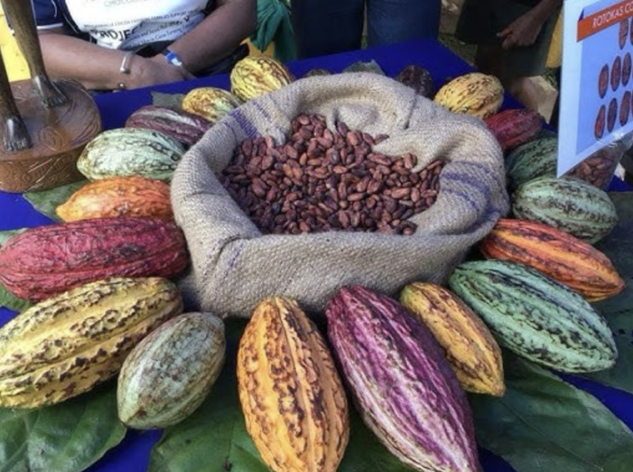 Bougainville Cacao Sector Research
